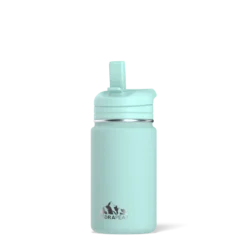 Mini 14oz Bottle - Aqua